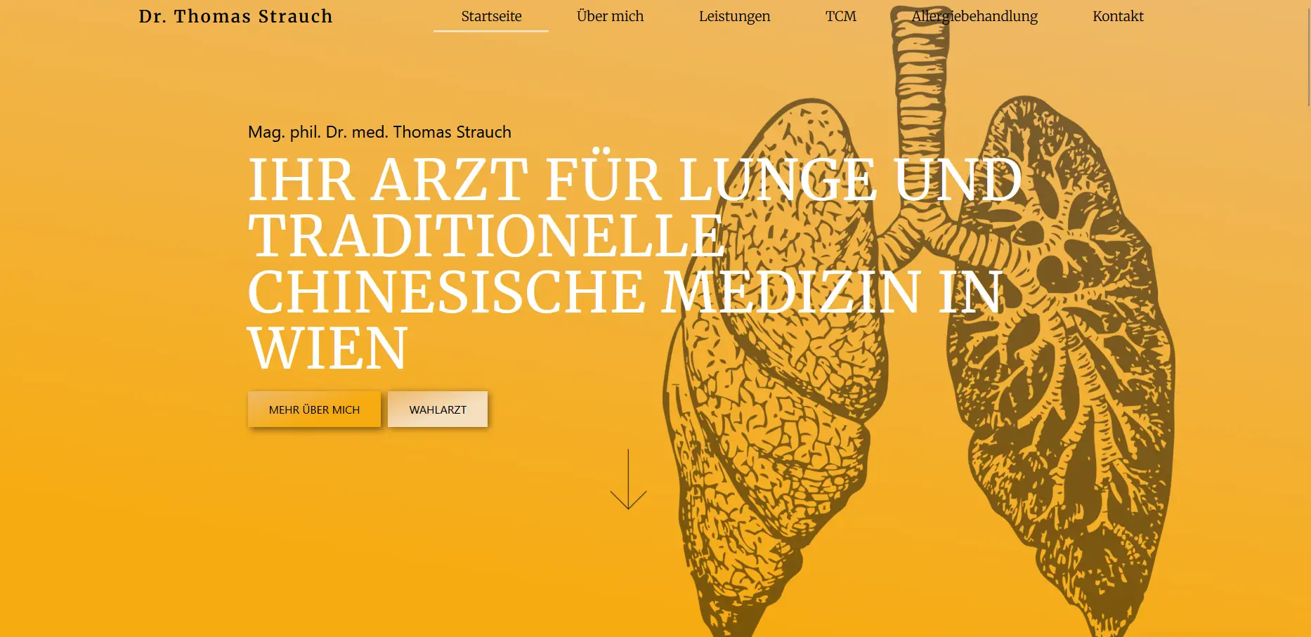 Dr. Strauch Website Screenshot-1