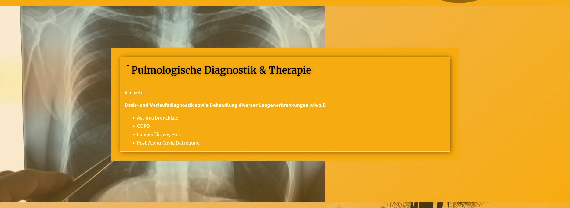 Dr. Strauch Website Screenshot-4